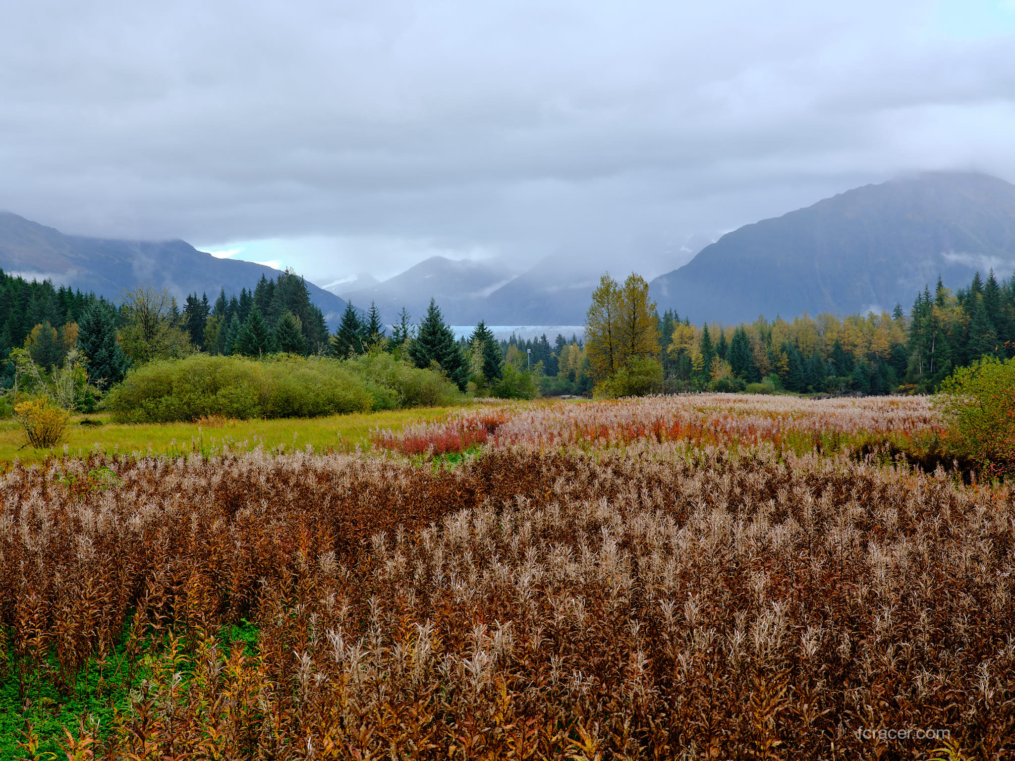 Alaska Cruise on Holland America’s Nieuw Amsterdam