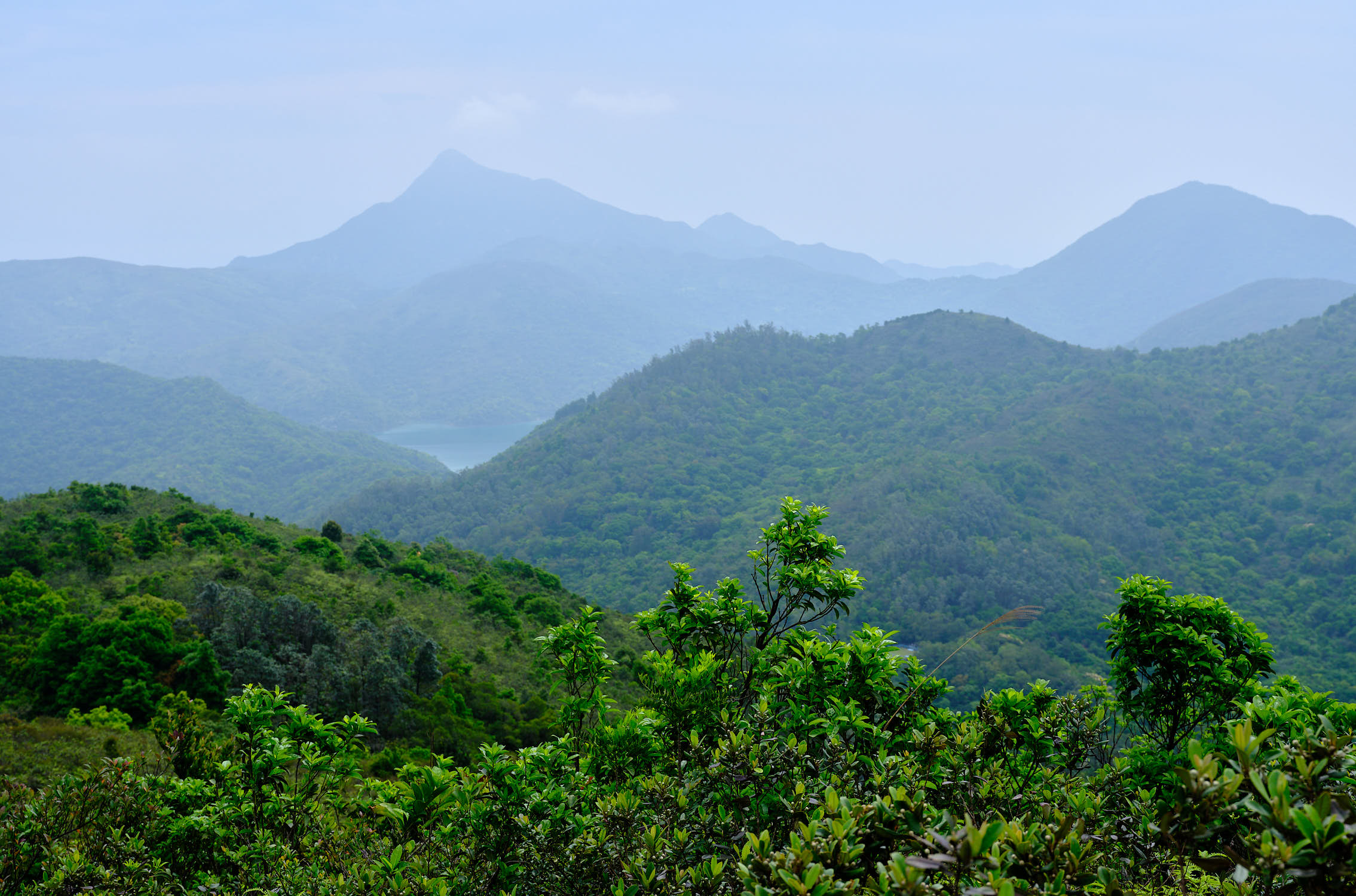 MacLehose Trail Stage 3