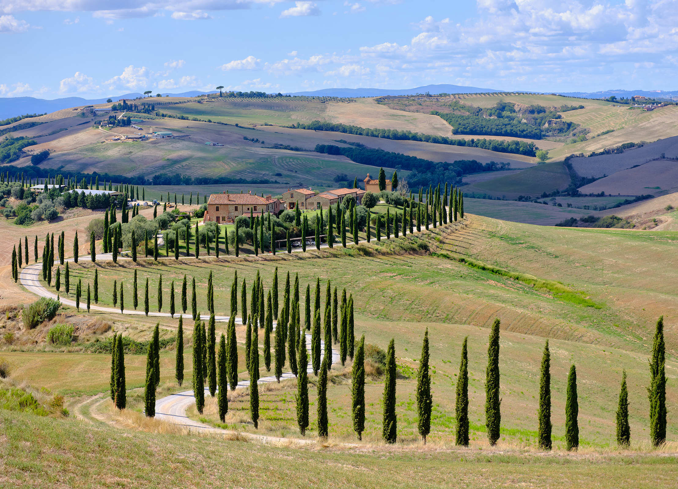 Winding road cypress trees, Val d’Orcia, Tuscany