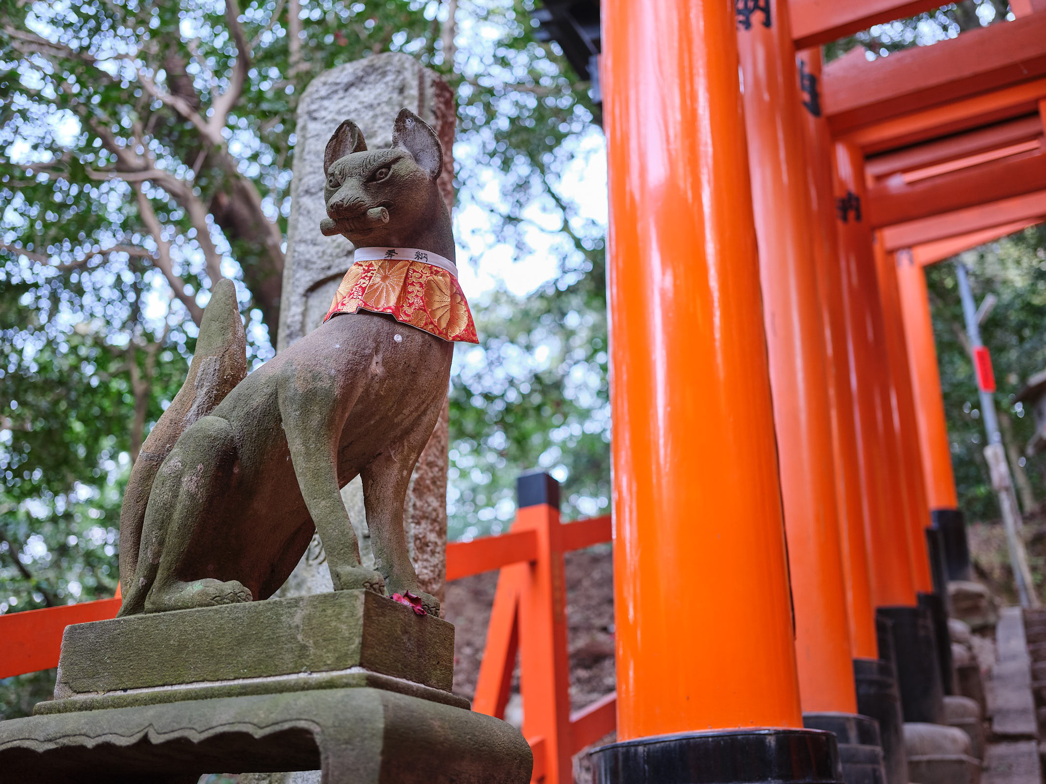 Fushimi Inari Shrine, Kyoto, Japan