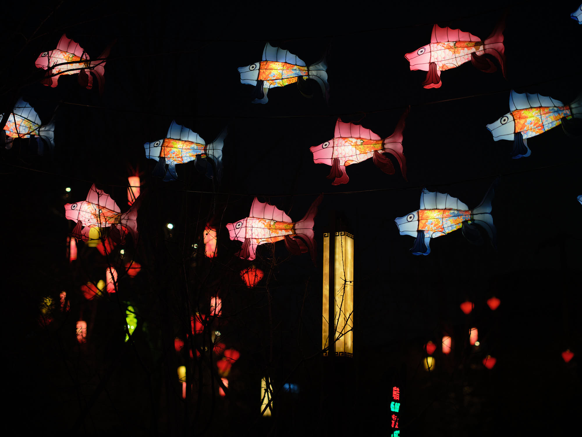 Flying fish outdoor decoration at night, Hutong Beijing