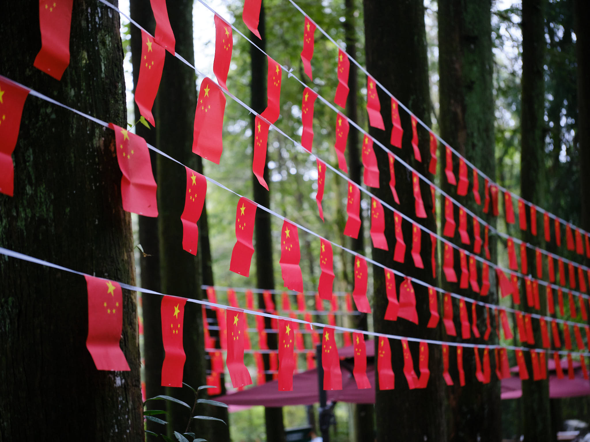 Chinese flags hanging on a wire