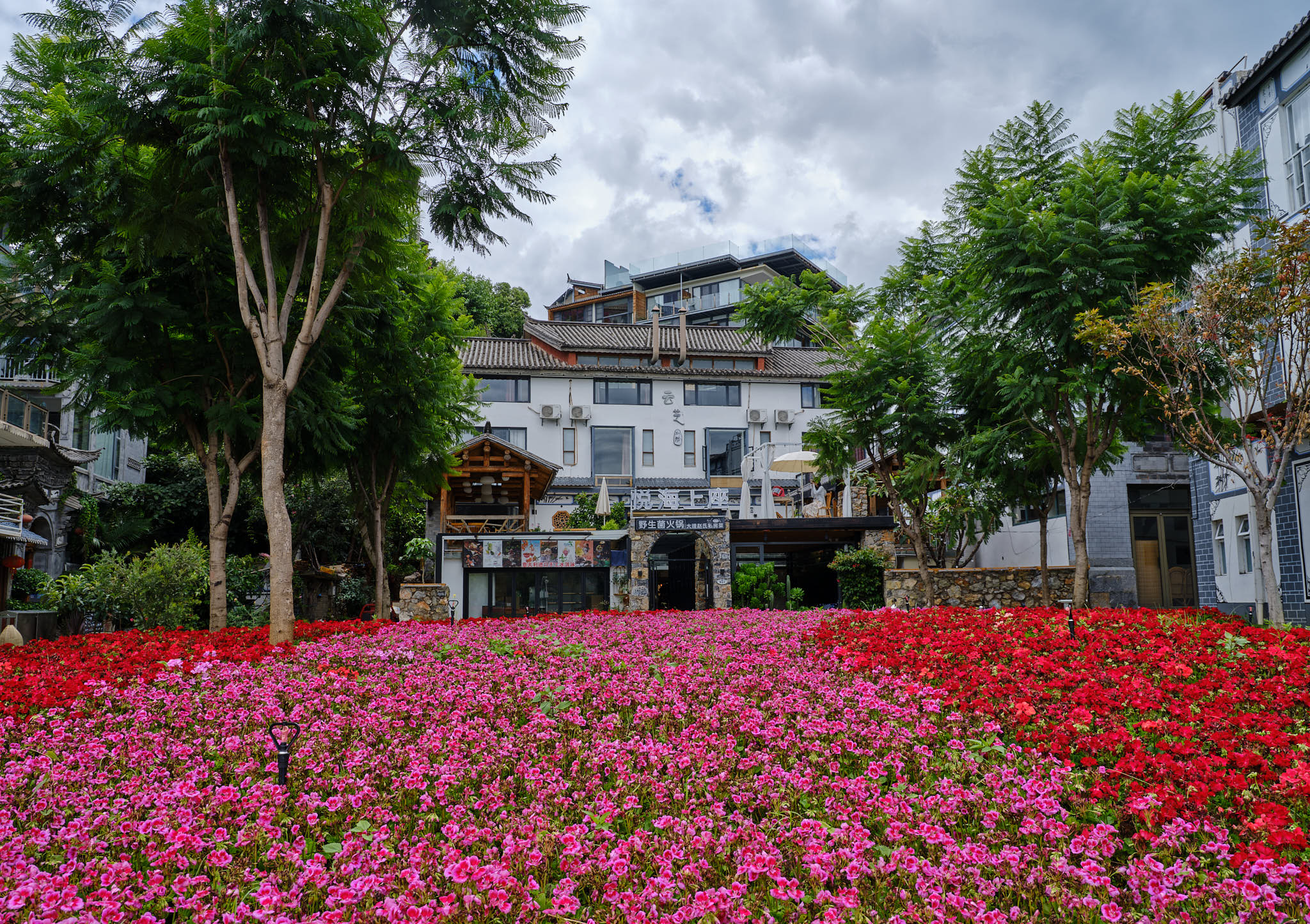 Colourful garden in Shuanglang