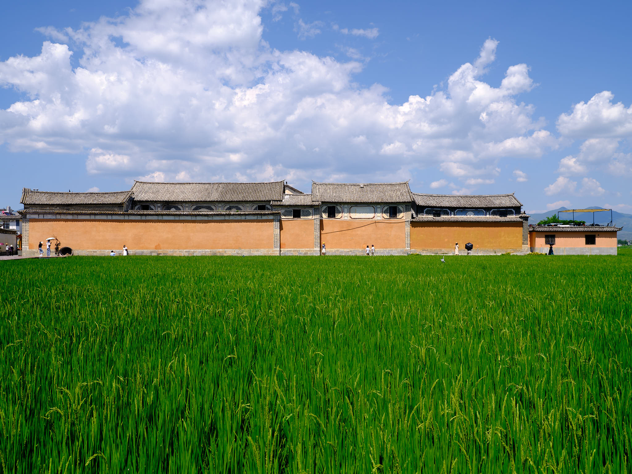 Grass fields outside Xizhou ancient town