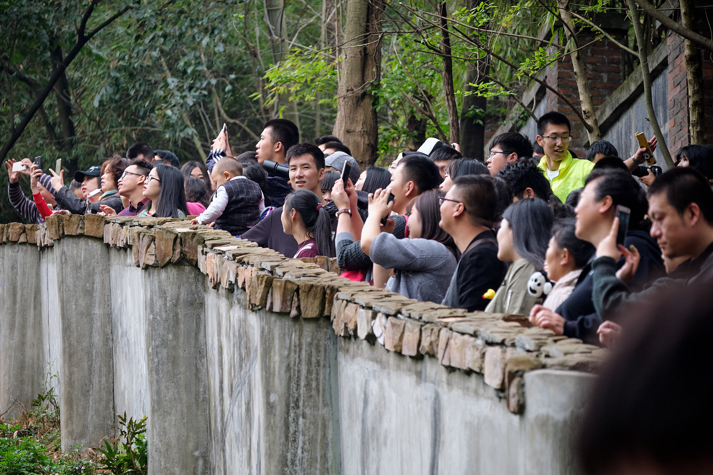 Crowds at Chengdu Panda Reserve